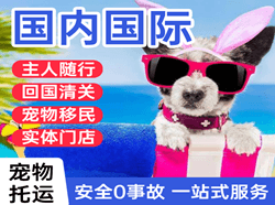 伊春航空快递国际宠物托运 【国
